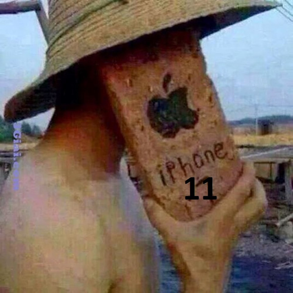 iPhone 11 xịn xò mà đắt quá thì mình dùng tạm cái này cho đỡ ham vậy.