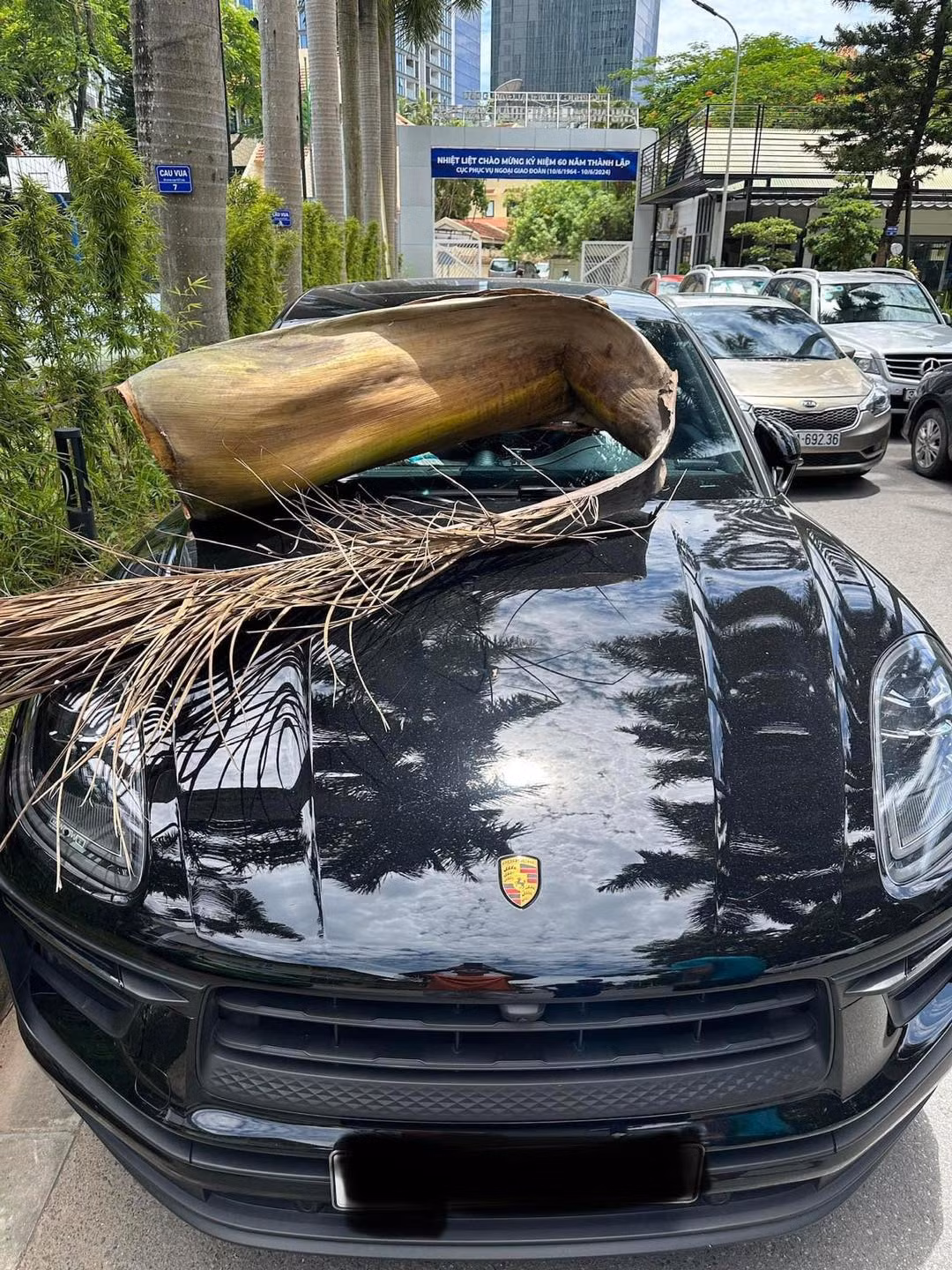 Mo cau oan nghiet khien chu xe hop tien ti khoc rong