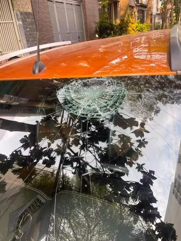 Quả mít rơi từ trên cao khiến kính trước của chiếc ô tô bị nứt một mảng.