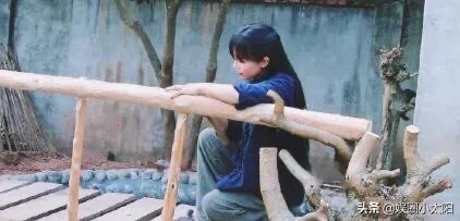 Netizen xứ Trung chỉ ra kênh Bếp Trên Đỉnh Đồi bắt chước Lý Tử Thất từ góc quay, bối cảnh...