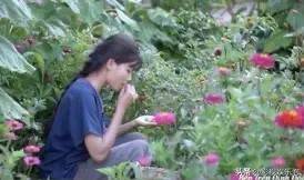 Hashtag tẩy chay "Bếp Trên Đỉnh Đồi" hiện nằm trong hotsearch được tìm kiếm nhiều nhất trên weibo với hơn 600 triệu lượt tìm kiếm và 62k lượt bình luận.