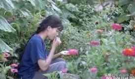 Hashtag tẩy chay "Bếp Trên Đỉnh Đồi" hiện nằm trong hotsearch được tìm kiếm nhiều nhất trên weibo với hơn 600 triệu lượt tìm kiếm và 62k lượt bình luận.