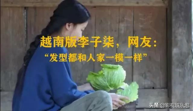 Không ít người bức xúc do nội dung của 2 blogger này quá giống nhau khiến nhiều người lầm tưởng Lý Tử Thất là người Việt Nam. Sự lầm tưởng này càng khiến dân mạng Trung Quốc nổi điên, tích cực đẩy hashtag Blogger Việt Nam đạo nhái Lý Tử Thất hòng lên tiếng ủng hộ việc bảo vệ quyền lợi cho họ Lý.