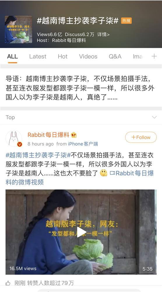Sáng ngày hôm nay, trên các diễn đàn thông tin ở Trung Quốc liên tục xuất hiện các bài viết tố cáo Youtuber có tài khoản Bếp trên đỉnh đồi có những video ẩm thực gần như đạo nhái hoàn toàn của Lý Tử Thất, một blogger ẩm thực nổi tiếng tại Trung Quốc.