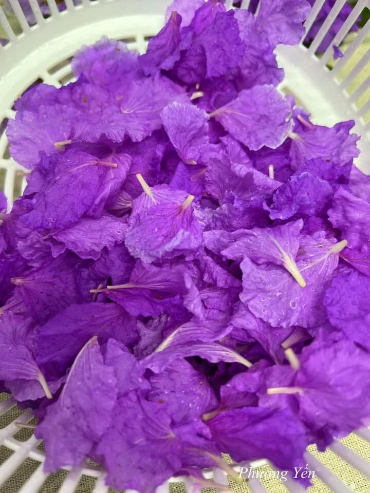 Thay vì chỉ ngắm không thôi, hoa bằng lăng bây giờ được chế biến thành một món ăn thanh mát cho mùa hè.