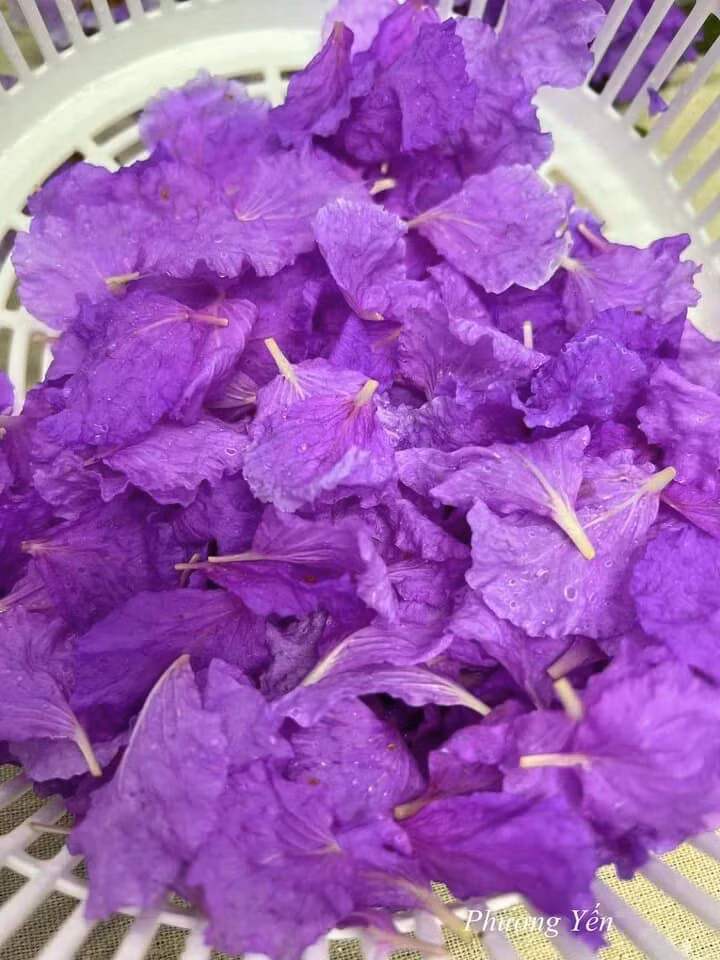 Thay vì chỉ ngắm không thôi, hoa bằng lăng bây giờ được chế biến thành một món ăn thanh mát cho mùa hè.