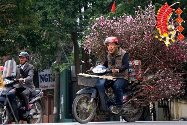 Lý do Công Phượng vội vã rời Bỉ, về Việt Nam là để...kịp đi bán đào ngày Tết. Năm mới đến nơi rồi, nhà bao việc nên phải về thôi.