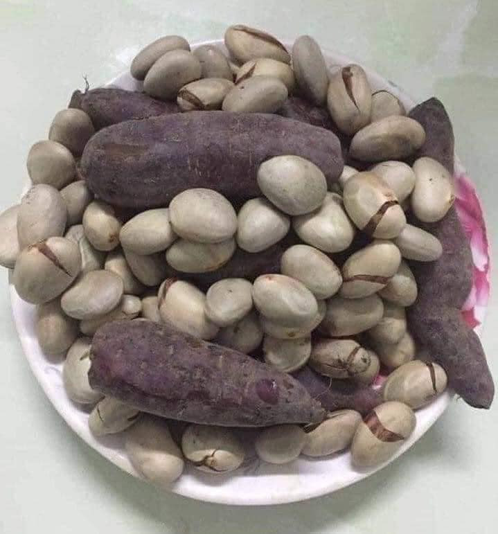 Hạt mít luộc là đặc sản không thể thiếu.