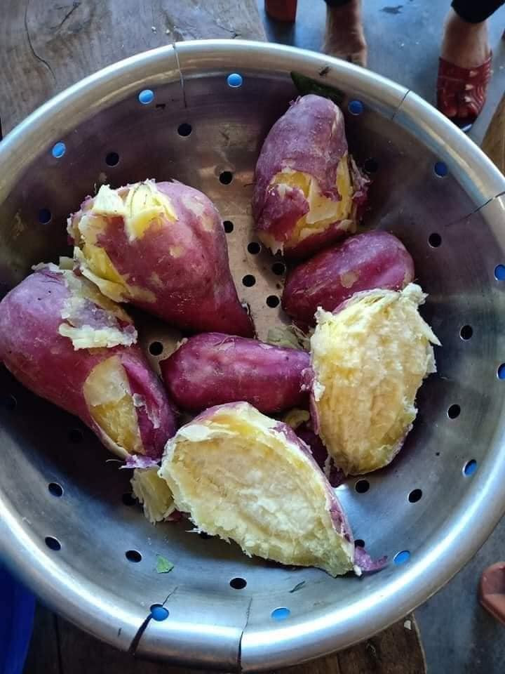 Vào một buổi tối mất điện, chỉ cần nồi khoai thế này thôi là xóm giềng quây quần bên nhau dưới ánh trăng chuyện trò.