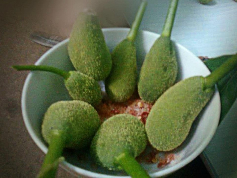 Quả mít non, tên gọi khác là quả mít 'nhí' hay quả 'meo', là biểu tượng của tuổi thơ ngọt ngào. Đây là những quả mít đực nhỏ, chưa lớn thành quả to, với múi mít đang phát triển. Mỗi lần nhắc đến, những ký ức về những chiếc quả mít non, chỉ to bằng đầu ngón tay, rụng tự nhiên trên đường làm cho trái tim chúng ta ấm áp.