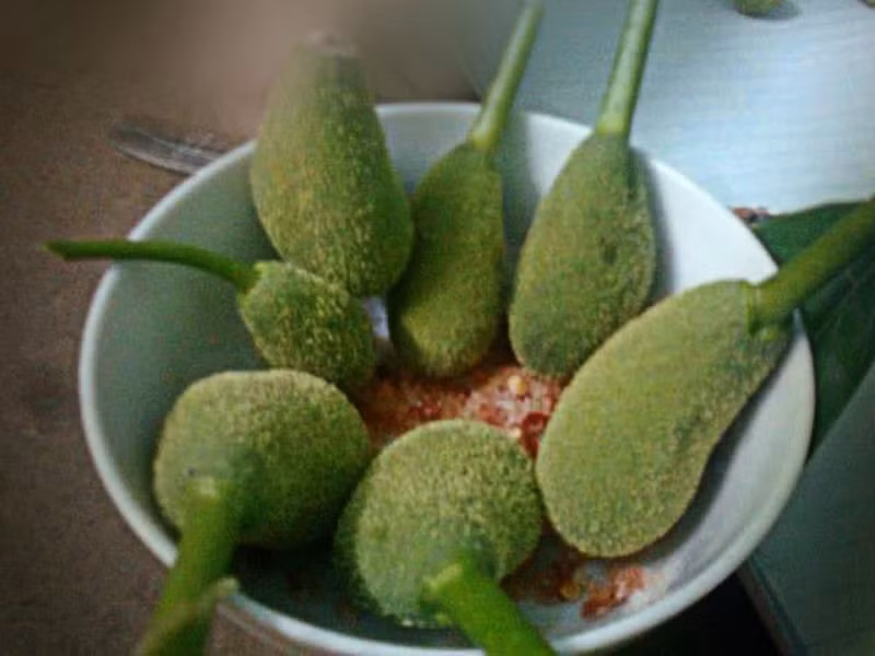 Quả mít non, tên gọi khác là quả mít 'nhí' hay quả 'meo', là biểu tượng của tuổi thơ ngọt ngào. Đây là những quả mít đực nhỏ, chưa lớn thành quả to, với múi mít đang phát triển. Mỗi lần nhắc đến, những ký ức về những chiếc quả mít non, chỉ to bằng đầu ngón tay, rụng tự nhiên trên đường làm cho trái tim chúng ta ấm áp.