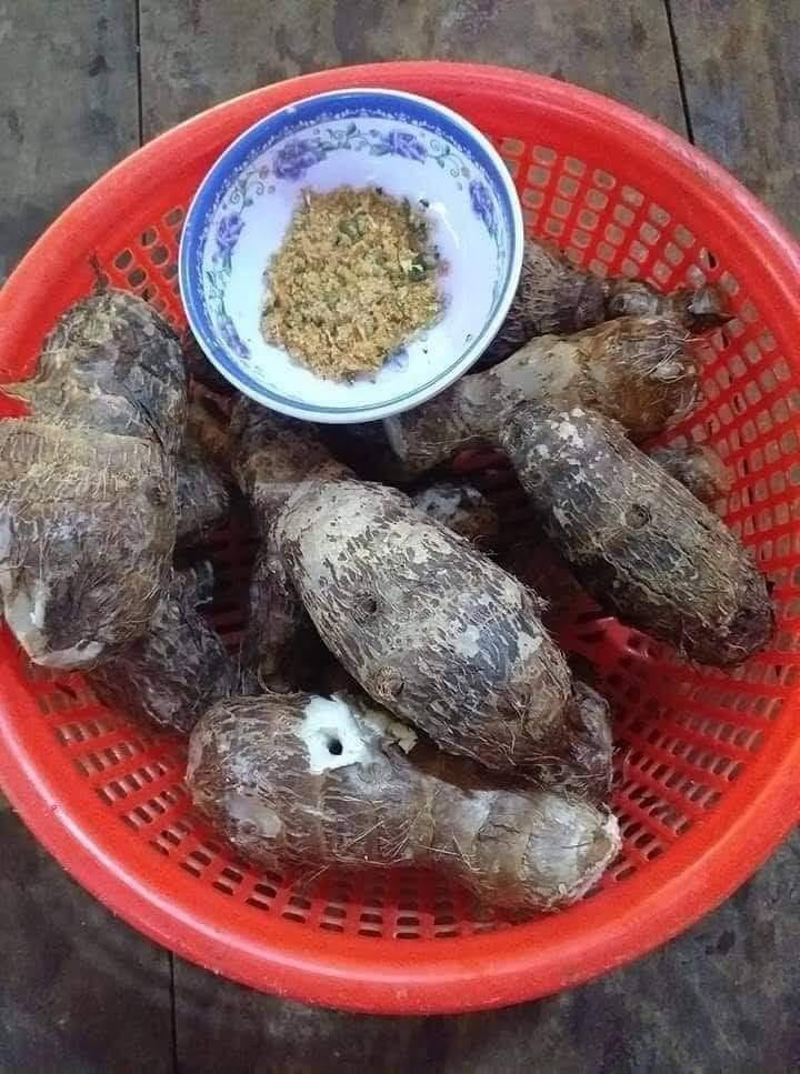 Củ khoai sọ thường dùng để nấu canh, tuy nhiên cũng là thức quà xưa mà những đứa trẻ đã lớn ở hiện tại luôn hoài niệm.