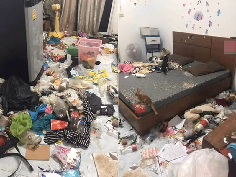 Quần áo, rác rưởi, đồ ăn thừa đều ném chung xuống sàn nhà. Nhiều người tỏ ra tò mò không hiểu vì sao con người, và đặc biệt lại là một cô gái có thể sống trong căn phòng bốc mùi, bừa bộn đến như vậy.