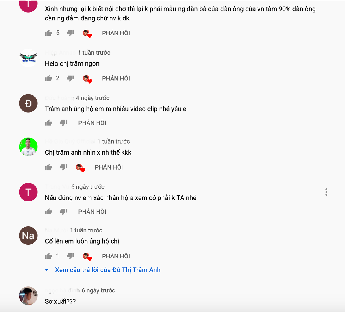 Bên dưới bài viết, nhiều người cho rằng Trâm Anh quá vụng về, không phù hợp làm mẫu người phụ nữ của gia đình.