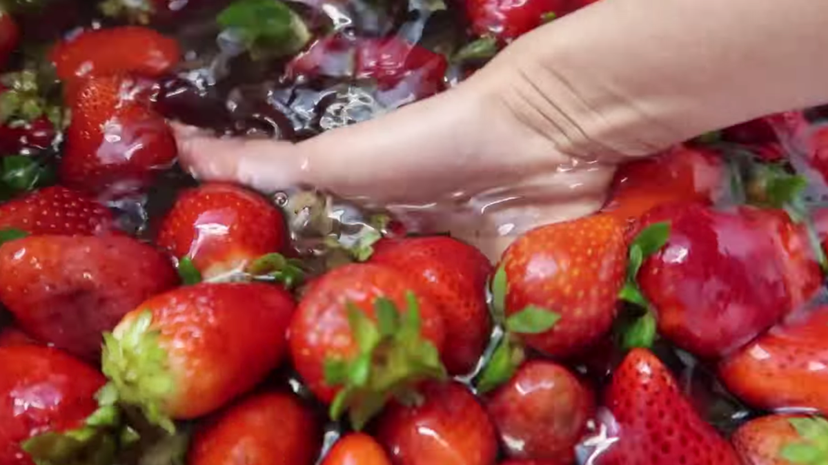 “Vlogger biet on” cua nam, an 1 qua dau ma cam on tu hat giong-Hinh-2