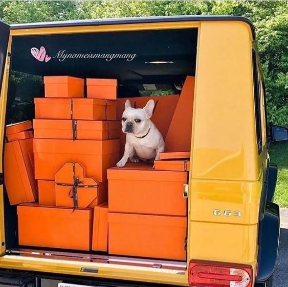 Đi mua sắm và phải đánh xe tải để chở hàng hiệu về nhà thì đủ biết chủ nhân đã chi mạnh đến mức độ nào.