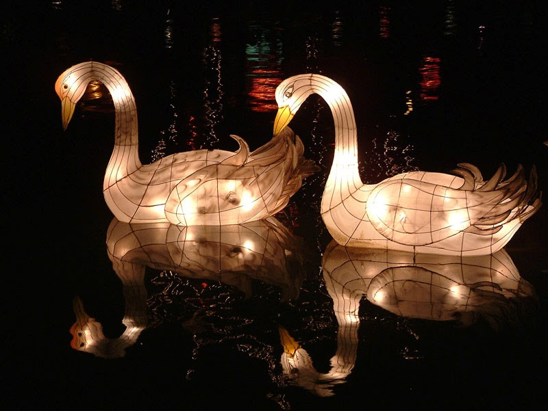 Rước thỏ đón trăng rằm nay "xưa" rồi. Những chiếc đèn lồng thiên nga với ánh đèn lung linh thả trôi theo dòng nước sẽ là thú chơi mới của nhiều bạn trẻ năm nay. Ảnh: sdmedia.vn