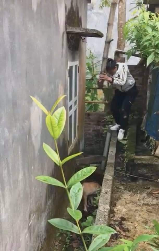 Phan no clip thanh nien di au quay ra don dap chet chu cho-Hinh-3