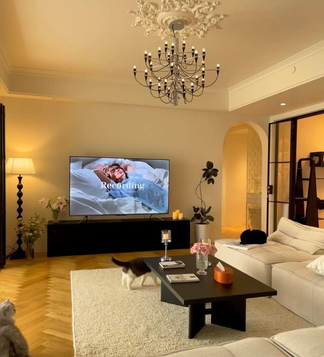 Phòng khách ấm cúng.