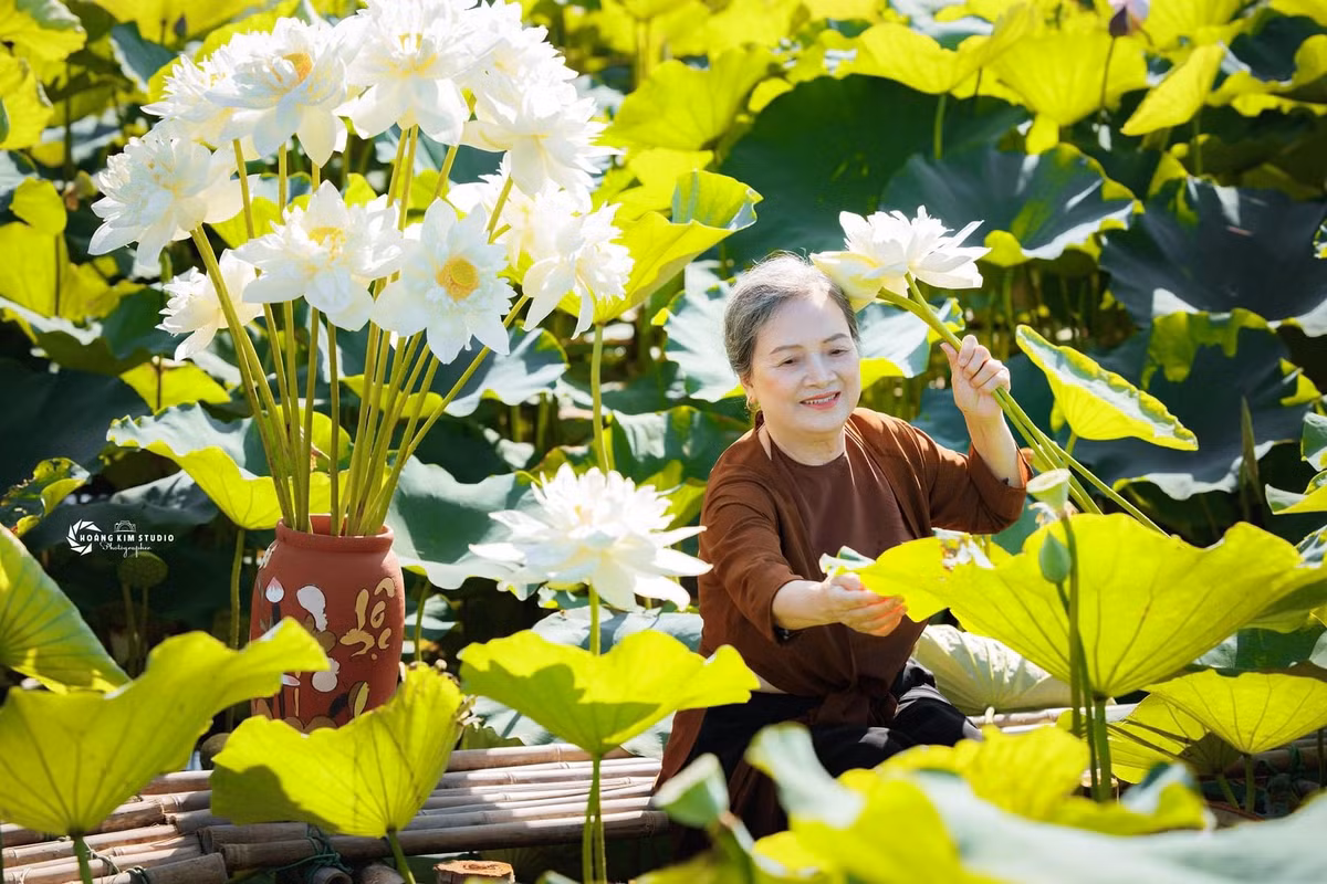 Được biết, nhân dịp mùa sen nở đẹp nên bà cụ cùng con gái đã đến vườn sen để lưu giữ một vài khoảnh khắc.