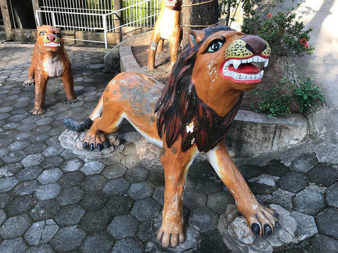 Không chỉ hổ mà sư tử cũng mang hình hài thân thiện.