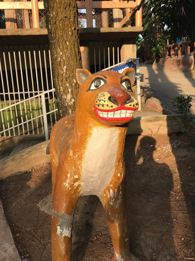 Chú hổ thân thiện với hàm răng mới bọc sứ và đôi môi xăm màu đỏ chót.