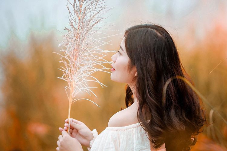 Không tinh khôi, trong trắng thướt tha áo dài như vườn cúc hoạ mi, điểm check-in bãi cỏ lau lại mang vẻ hoang dã, phóng khoáng và bay bổng phù hợp với những bạn theo phong cách Hàn Quốc. Ảnh: @thosuzy