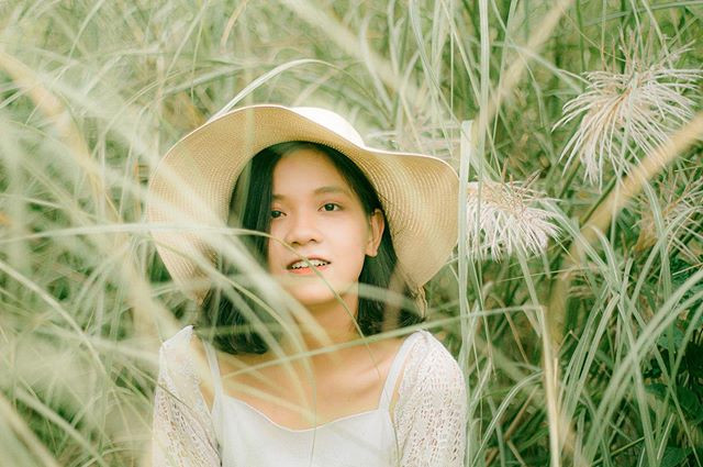 Bãi lau nằm bên sông hồng nên không bao giờ sợ thiếu gió để bức ảnh trông thật phiêu. Ảnh: @cavientron.kila