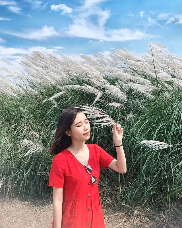 Tuy nhiên vẫn nên lựa chọn hôm nào nắng vàng, trời xanh và có gió đến bãi lau chụp ảnh để có được kết quả ưng ý nhất. Ảnh: ngoclitte18