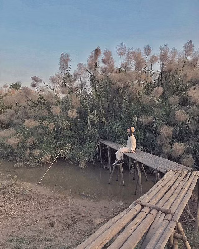 Thêm một tip nữa cho các bạn muốn tới bãi lau chụp hình đó chính là hạn chế đi giày màu trắng bởi lau mọc trên bãi sông Hồng, những phần đất không có cỏ rất nặng phù sa nên mềm và dễ bám bẩn lên giày lắm đấy! Ảnh: @ngocbeo126