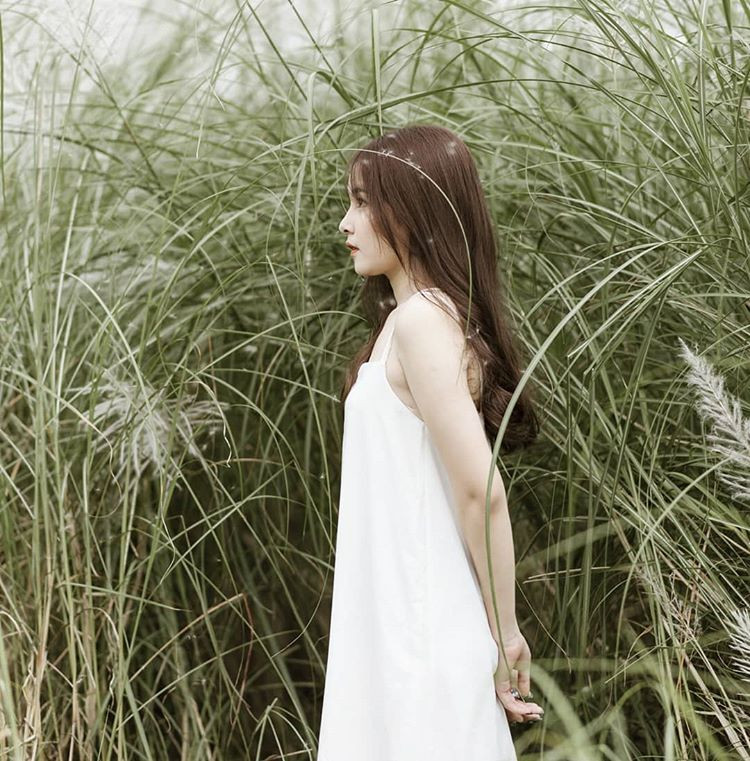 Bãi cỏ lau nằm ở cuối ngõ 264 Âu Cơ, cách trung tâm Hà Nội chỉ khoảng 20 phút lái xe nhưng bãi cỏ lau mang mổ vẻ đẹp yên bình, thanh vắng khác xa đường phố tấp nập hay vẻ nhốn nháo người trong vườn cúc hoạ mi. Ảnh: @ttrang26