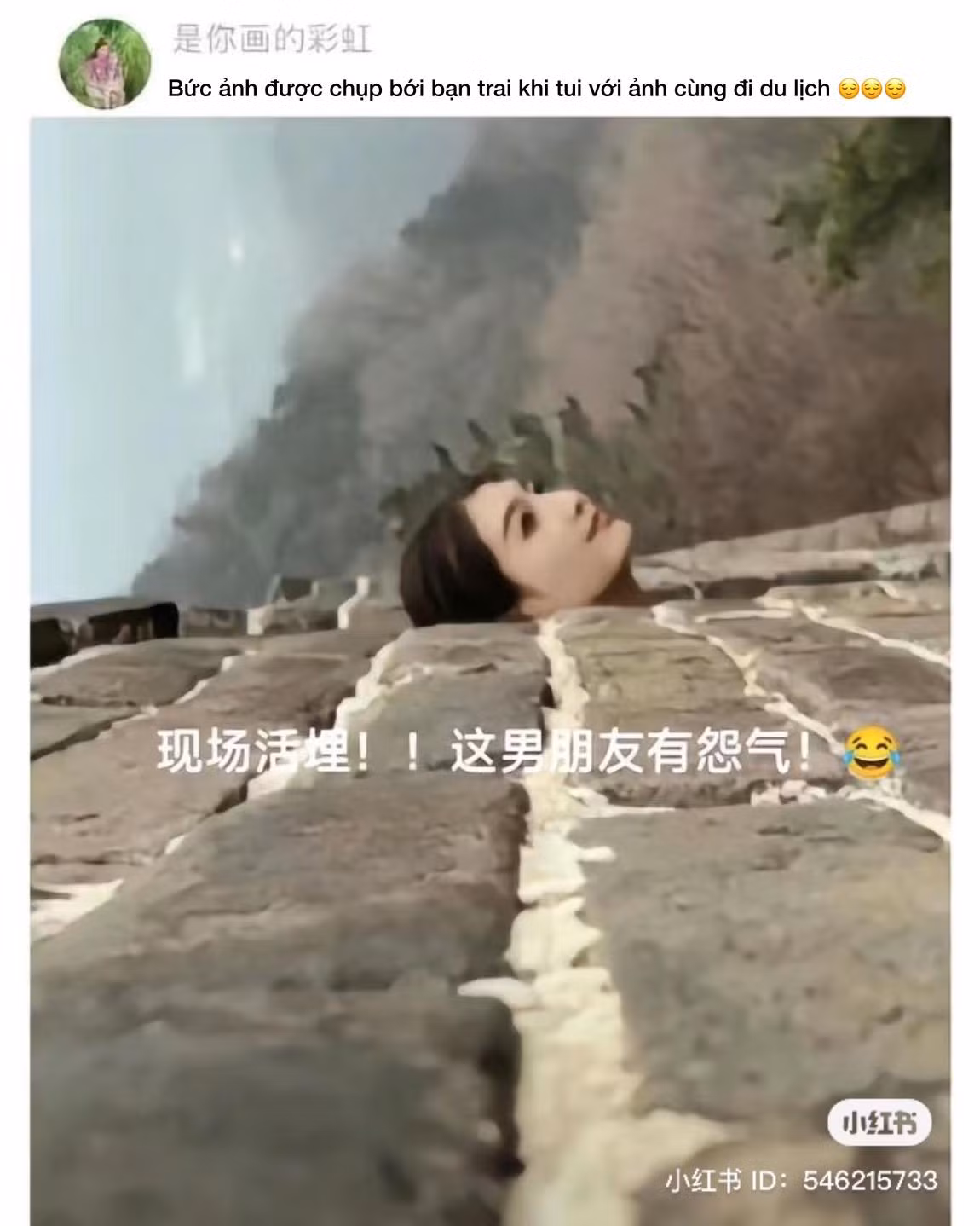 Mỹ nữ ngoi lên từ...bê tông.