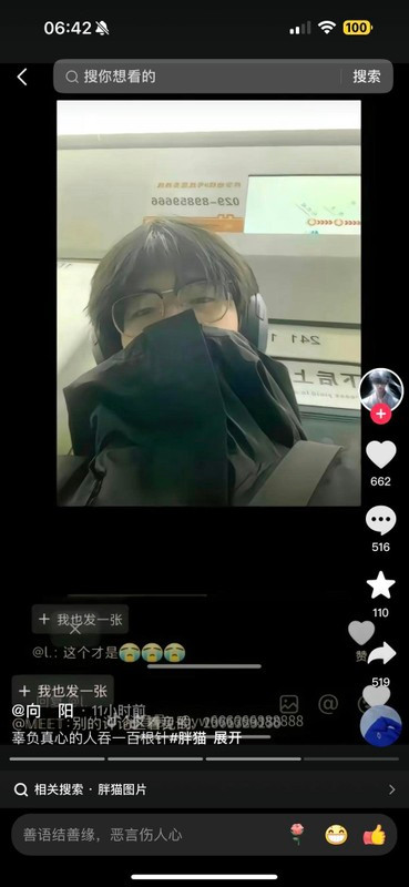 Cô gái Việt thả McDonald's ở hồ Tây cho Mèo Béo gây bức xúc Co gai Viet tha McDonald's o ho Tay cho Meo Beo gay buc xuc