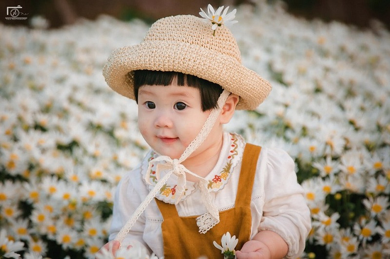 Chắc chắn, bộ ảnh bé Mí bên vườn cúc hoạ mi sẽ là bộ ảnh đẹp và được yêu thích nhất mùa đông năm nay.