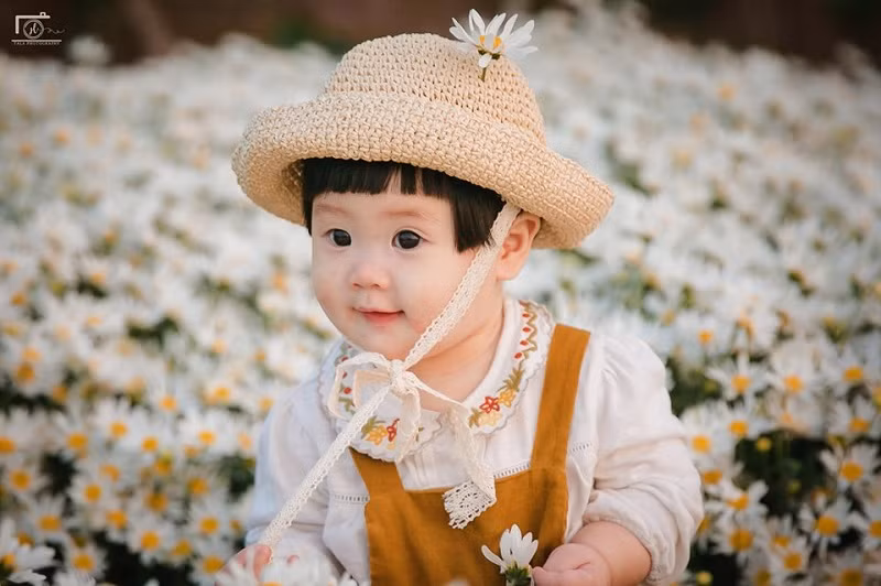 Chắc chắn, bộ ảnh bé Mí bên vườn cúc hoạ mi sẽ là bộ ảnh đẹp và được yêu thích nhất mùa đông năm nay.