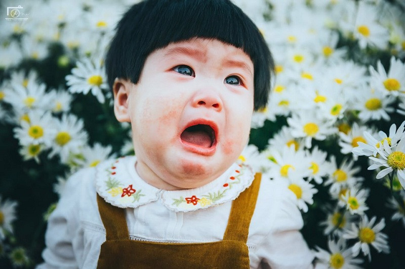 Có lẽ do còn quá nhỏ, chưa biết tạo dáng trước ống kính cũng không cần "sống ảo" nên em bé mếu máo khóc nhè. Đôi mắt to tròn cùng đôi má phúng phính, khuôn mặt lấm lem và mái tóc cắt kiểu "úp bát" vô cùng hài hước khiến ai nhình cũng phải bật cười.