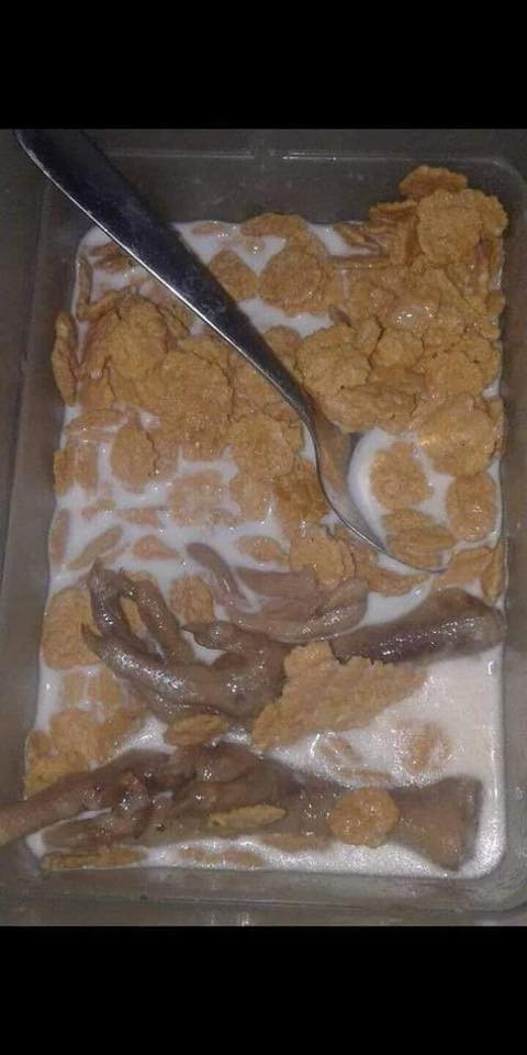 Ngũ cốc ăn sáng thêm đôi chân gà chắc chắn đủ dinh dưỡng để no đến tận trưa.