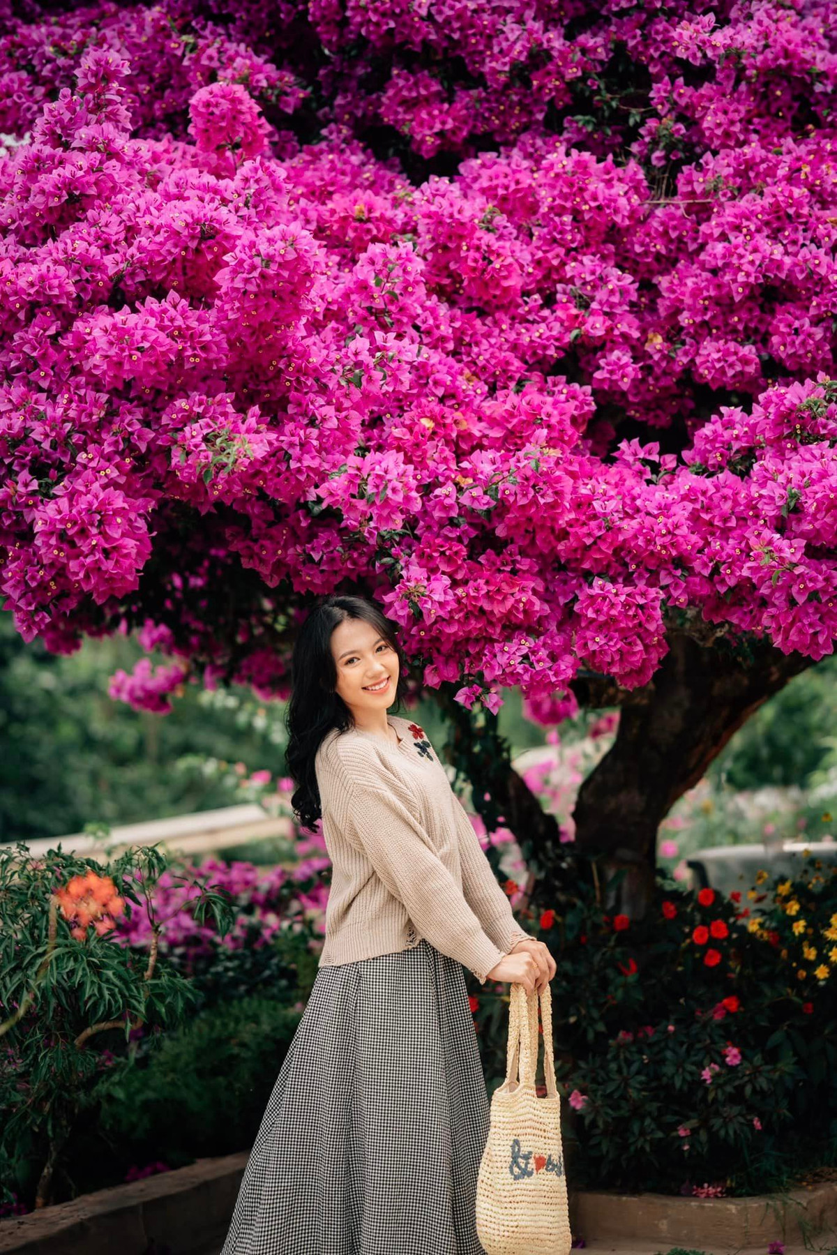 Được biết, cây hoa giấy này do gia đình chị Bùi Hiền trồng cách đây 35 năm. Thời điểm đó, gia chủ cũng xây dựng căn nhà gỗ phía sau, tạo khung cảnh nhà vườn đẹp mắt, thu hút sự chú ý của bất kỳ ai đi ngang qua.