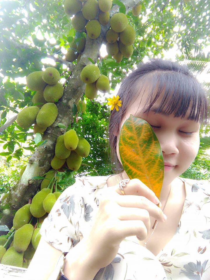 Mạng xã hội cũng từng xuất hiện những cây mít khác cũng cho rất nhiều quả từng khiến dân tình xôn xao.