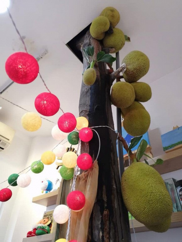 Ngay sau khi bài viết được đăng tải, rất nhiều dân mạng đã bày tỏ sự thích thú và cảm thấy ngạc nhiên trước cây mít "siêu mắn" này.