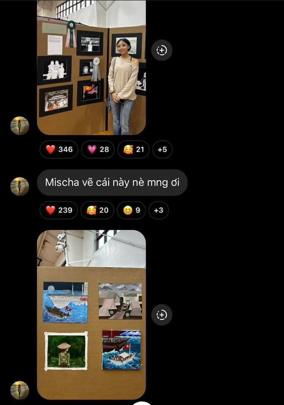 Tuy nhiên sự việc khiến Phạm Như Phương bị công kích nhiều nhất là cô đã chia sẻ những bức tranh có chứa hình vẽ phản cảm liên quan đến chính trị trong nhóm chat riêng.