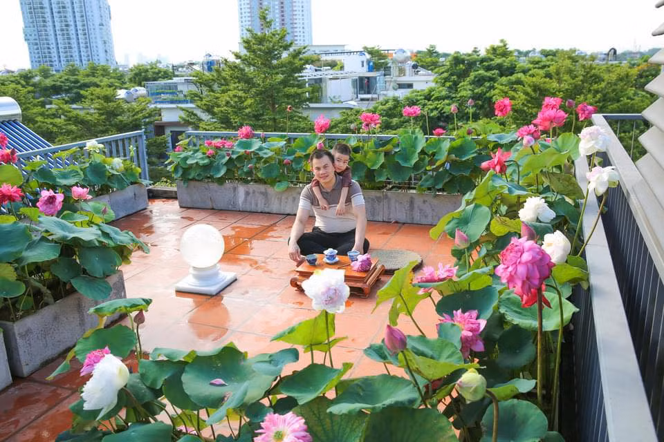 Người phụ nữ 9x cho biết, từ nhỏ chị đã yêu hoa và cây cảnh, đặc biệt là hoa hồng và hoa sen, chỉ ước ao sau này mua được ngôi nhà có sân vườn để trồng hoa. Đến khi có một ngôi nhà nhỏ, cuối cùng chị cũng có thể thực hiện được ao ước của mình.