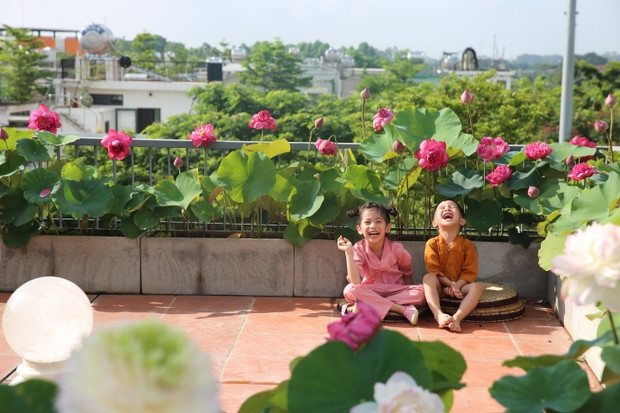 Bà chủ 9x cho biết, khi hết mùa sen, sân thượng của chị sẽ được trồng hoa hồng và các loại hoa thân thảo như dã yến thảo, cúc, ngọc thảo... Các chậu sen vẫn được giữ lại để hè năm sau chơi tiếp.
