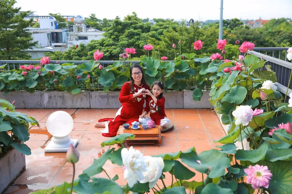 Chị Trang được nhiều người biết đến với vai trò chủ trang trại sản xuất và kinh doanh hoa hồng rộng 2ha với hàng trăm giống hoa hồng nội, ngoại.