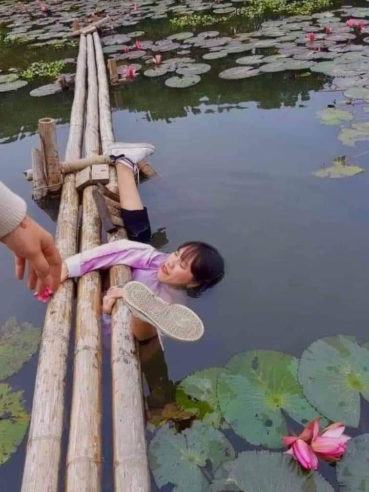 Chèo thuyền chụp ảnh với hoa súng nhưng không hiểu sao lại trở thành "đu xà". Ảnh đẹp đâu không thấy mà lại có được kiểu ảnh để đời thế này.