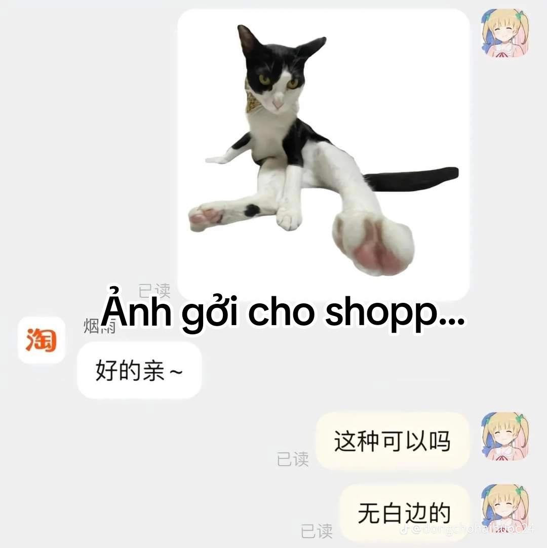 Ảnh gửi cho shop...