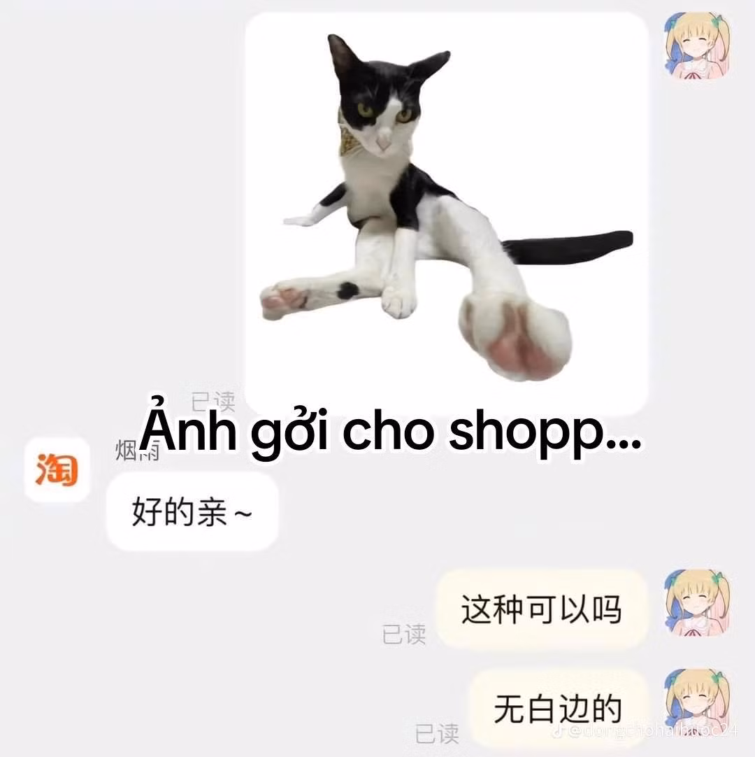 Ảnh gửi cho shop...