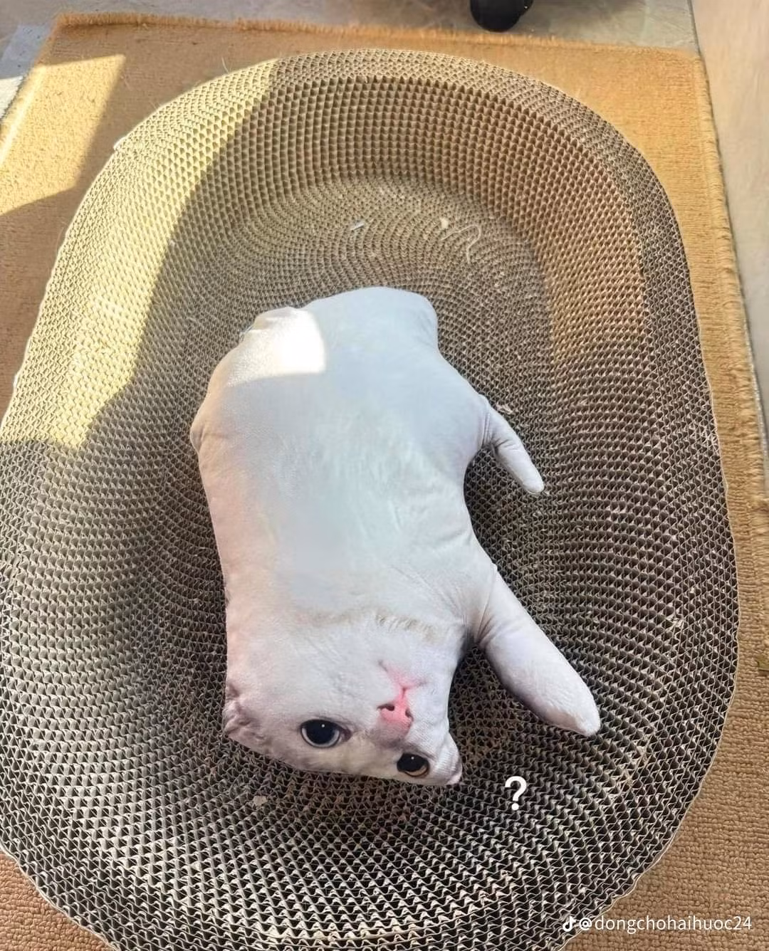 Thú bông này miễn cưỡng thì cũng có thể nói là giống...