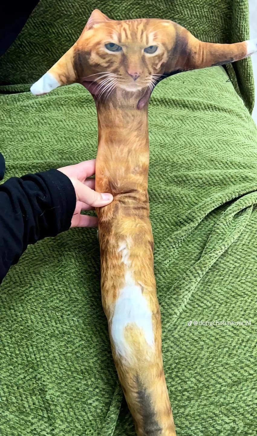 Thú bông nhận về thì không biết nên khóc hay cười nữa.