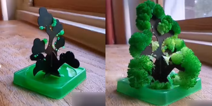 Khi hoá chất lên tấm giấy bìa thì sẽ xảy ra phản ứng hoá học, thân cây dần nở những hoa đủ màu và nhanh chóng rụng đi. Mặc dù có hại cho sức khoẻ nhưng đây là một trong những món đồ chơi tuổi thơ được học sinh cực kỳ yêu thích thời đó.